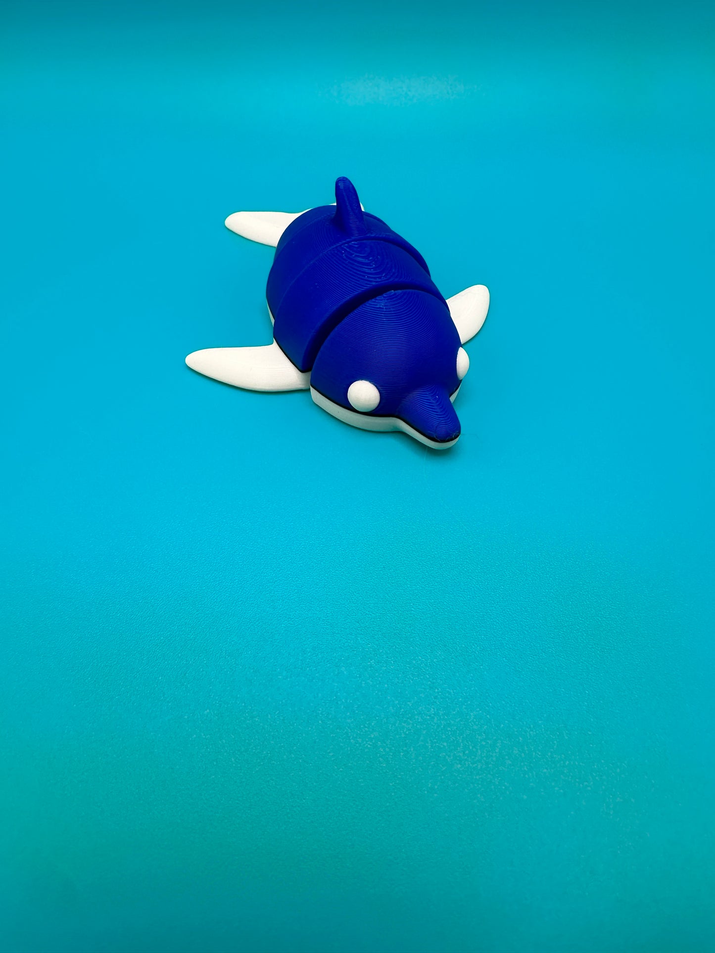 Articulating Dolphin