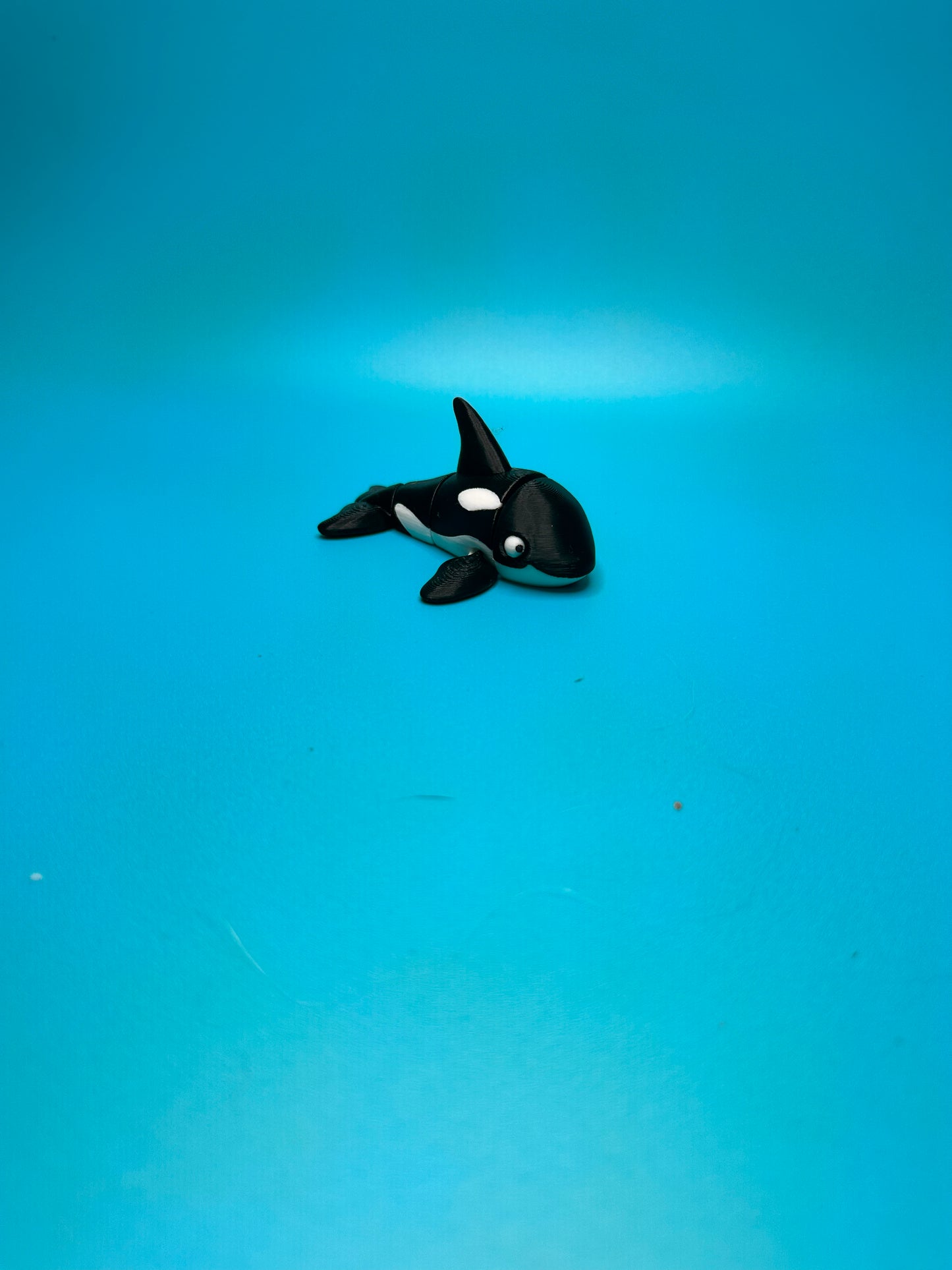 Orca